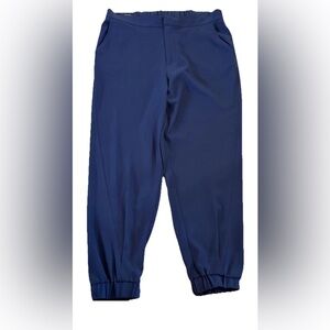 Navy Blue Stretch Pull-On Ankle Pants Size 8 Wrinkle-Free Workwear Brass